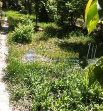 casa-de-vanzare-centru-68000-euro-1